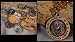 yorkshire_terrier13yorkshire terrier - Canine Critters Keychain SET3 Yorkshire Terrier