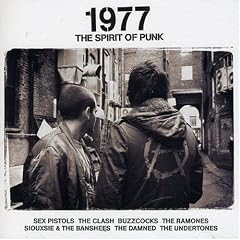 1977 - the Spirit of Punk