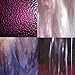 Wissmach Stained Glass Sheet Pack - Purple : Season Colors