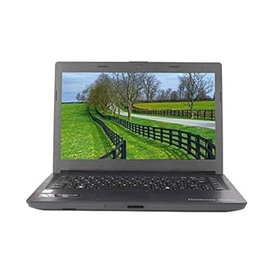Acer Gateway NE46RS1 (UN.Y52SI.004) Notebook (Intel Pentium- 2GB RAM- 320GB HDD- 35.56 cm(14)- Linux) (Black)