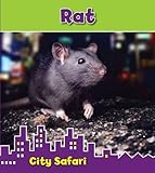 Rat