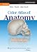 Color Atlas of Anatomy