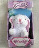 Knowing God: Walking through the Book of Books