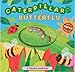 Caterpillar to Butterfly: A Colorful Adventure