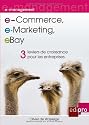 e-Commerce, e-Marketing, eBay : 3 Leviers de croissance pour les entreprises