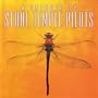 Tribute to Stone Temple Pilots