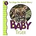 Baby Tiger (San Diego Zoo Animal Library)