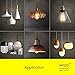 ANYQOO Edison Light Bulb Squirrel cage Filament Bulb Antique Lighting base (E26/E27) 40W