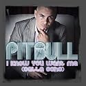 I Know You Want Me (Calle Ocho) (Extended Mix)