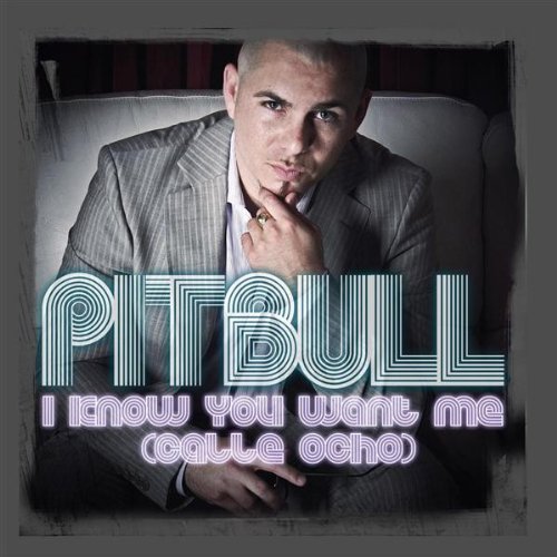 Pitbull - I know you want me (Calle Ocho) [More English Radio Edit] Lyrics - Zortam Music