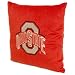 Ohio State Buckeyes 16-Inch Polyester Felt Plush Pillow