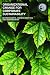 Organizational Change for Corporate Sustainability: A Guide for Leaders and Change Agents of the Future (Understanding Organizational Change): A Guide ... Future (Understanding Organizational Change)