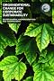 Organizational Change for Corporate Sustainability: A Guide for Leaders and Change Agents of the Future (Understanding Organizational Change)