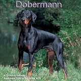 \"DOBERMANN