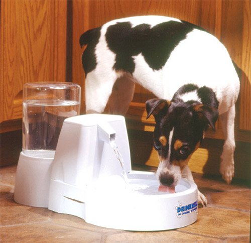 Drinkwell Big Dog Fountain
