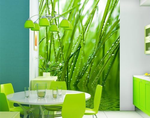 Photo wall mural no.126 FRESHNESS 78.74"x110.24" Wallpaper, wall art, wall decor, Dew, drops, meadow, grass, straw, fresh, green, low-priced