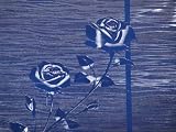 CLEAR ETCHED ROSE - 36 WIDE - Sold as one continuous roll by the foot.