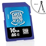 Buy DataMINE Class 10 16GB SDHC Flash Memory Card for GoPro , Kodak , Casio and More...