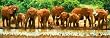Heavy Drinkers 500pc Jigsaw Puzzle by Simon Combes
