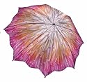 " Chrysanthemum " - Galleria Folding Compact Umbrella Auto Open /Auto Close
