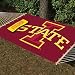 NCAA Sports Team Hammocks, LSU