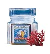 Hawaii Kai Soul Of The Sea Papohaku White Sea Salt, 12-Ounce Jars