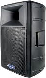 American Audio DLS - 15 Passive PA Speaker - B0013XXXCK