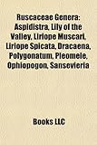 Ruscaceae Genera: Aspidistra, Lily of the Valley, Liriope Muscari, Liriope Spicata, Dracaena, Polygonatum, Pleomele, Ophiopogon, Sansevi-