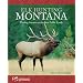 Elk Hunting Montana: Finding Success on the Best Public Lands