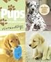 Pups: The Official Nintendogs Companion