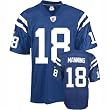 Peyton Manning "Repli-thentic" NFL "Stitched-on Name and Number" EQT Jersey Peyton Manning "Repli-thentic" NFL "Stitched-on Name and Number" EQT Jersey