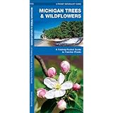 michigan trees  wildflowers a folding pocket guide to familiar species pocket naturalist guide series