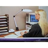 Contemporary Flourescent Desk or Bench Lamp