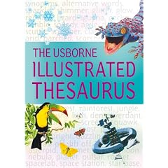 Illustrated Thesaurus (Usborne Illustrated Dictionaries)
