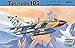 Hobby Boss Tornado IDS Airplane Model Building Kit
