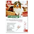 Advantage Topical Flea Treatment for Dogs 21-55 Lbs (6 Applications)