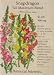 Snapdragon Tall Blend Heirloom Seeds 600 Seeds