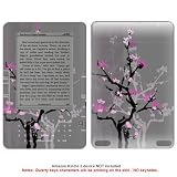 Protective Decal Skin Sticker for Amazon Kindle 2 (No keyholes) case cover NoKey_KDL2-446