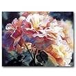 Afternoon Rose - Gift Enclosure Cards (set of 12)