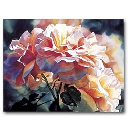 Afternoon Rose - Gift Enclosure Cards (set of 12)