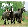 times & more Bildkalender Pferde 2012