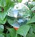 8100 Clear Fluted Glass Watering Globe w/ Plant Nanny, Set of 3