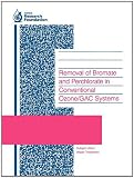 Removal of Bromate and Perchlorate in Conventional Ozone Gac Systems