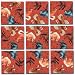 Horses Scramble Squares Puzzle 9pc
