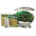 AeroGarden 2490-21S 2490-21S Classic 7-Pod Indoor Gardening System with Herb 'n Serve Dressing Mixer and Herb Chef Seed Kit, Silver