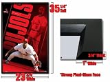 FRAMED ALBERT PUJOLS ST LOUIS CARDINALS POSTER FR 3951
