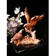 Mahogany Series Eagle Family with Nest Figurine