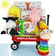 Baby Einstein On The Farm Gift Basket
