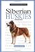 New Owners Gde Siberian Huskie (JG Dog)
