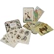 Cavallini Animals Jungle Gift set: Tin of 18 keepsake postcards and tin of stickers
